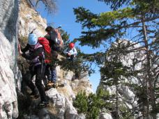 Klik za večjo sliko